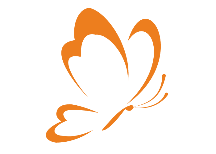 Grafikelement vom Pflegedienst Papillon, ein orangefarbener Schmetterling.